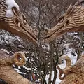 龍泉洞の写真_183225
