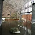 星野温泉　トンボの湯の写真_185971