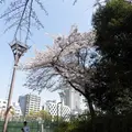 靱公園の写真_187553