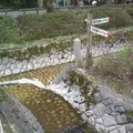水分れ公園の写真_1878