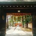 葛飾八幡宮の写真_188484