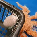 竹島水族館の写真_191191
