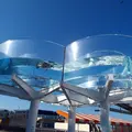 越前松島水族館の写真_19226