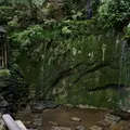 等々力渓谷の写真_1989