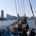ピア大さん橋の写真_199473