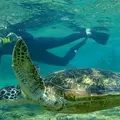 シギラビーチの写真_202167