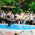 サンシャイン水族館の写真_203025