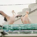 サンシャイン水族館の写真_203028