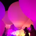 【閉業】森ビルデジタルアートミュージアム：エプソン チームラボボーダレス（MORI Building Digital Art Museum: EPSON teamLab Borderless）の写真_205089
