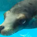 サンシャイン水族館の写真_207380
