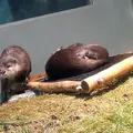 サンシャイン水族館の写真_207382
