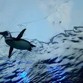サンシャイン水族館の写真_207410