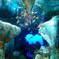 サンシャイン水族館の写真_207413