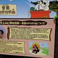 ～河口湖～ 富士山パノラマロープウェイ（Mt. FUJI PANORAMIC ROPEWAY）の写真_207427