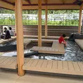 すばしりの写真_2090
