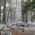 魔王殿の写真_2105