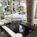 魔王殿の写真_2106
