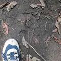 デンデラ野の写真_2114