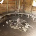 デンデラ野の写真_2115