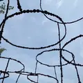 豊島美術館の写真_21190
