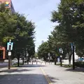 富山駅の写真_216393