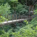高尾山の写真_2168