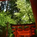 千本鳥居の写真_216814