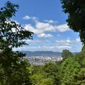 千本鳥居の写真_216815