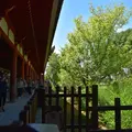 東大寺の写真_216973