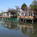 苧ヶ瀬池（おがせ池）の写真_21735