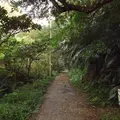 轟の滝の写真_2184