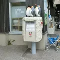 旭川市 旭山動物園の写真_225134