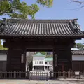 徳川園の写真_228600
