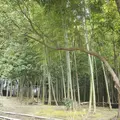 tawaraya 美山の写真_23122