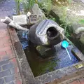 湧き水の写真_2349