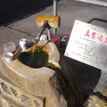 湧き水の写真_2350