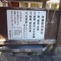 浜の川湧水の写真_2353