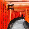 伏見稲荷大社の写真_235741