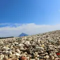 番所鼻自然公園の写真_235795