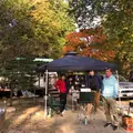 日光だいや川公園 オートキャンプ場の写真_236852