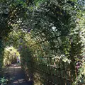 向島百花園の写真_238603