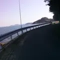 伏越港 フェリー乗り場の写真_23982