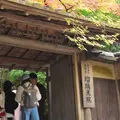 瑠璃光院の写真_241450