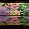 瑠璃光院の写真_241453