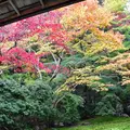 瑠璃光院の写真_241456