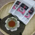 流橋焼 花の器ギャラリーの写真_2448