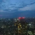 Good View Tokyo - グッドビュー東京の写真_244903