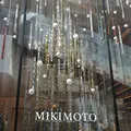 株式会社ミキモト 本店の写真_245159