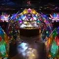 奈良金魚ミュージアムの写真_245344