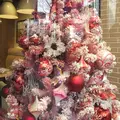 SONOKO CAFE 銀座店（【旧店名】SO CAFE）の写真_245828